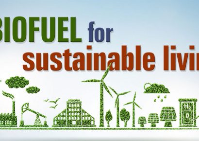 Green Fuel Revolution through Biofuel for Sustainable Living