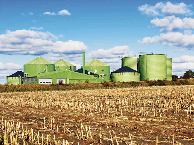 Second-Generation Biofuel: New Age Sustainability, Challenges and Opportunities 