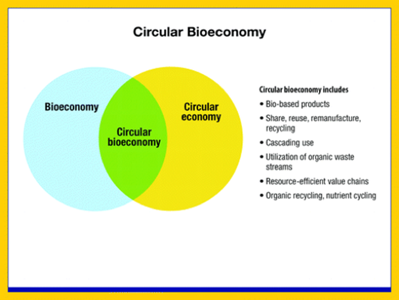 <strong>PROMOTING A SUSTAINABLE CIRCULAR BIO-ECONOMY: SOLUTION IN ADDRESSING GLOBAL ISSUES</strong> 