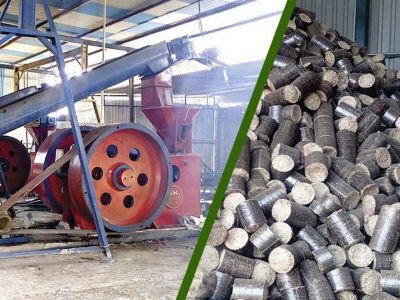 ABOUT BIOMASS BRIQUETTES AND THEIR SPECIFICATION